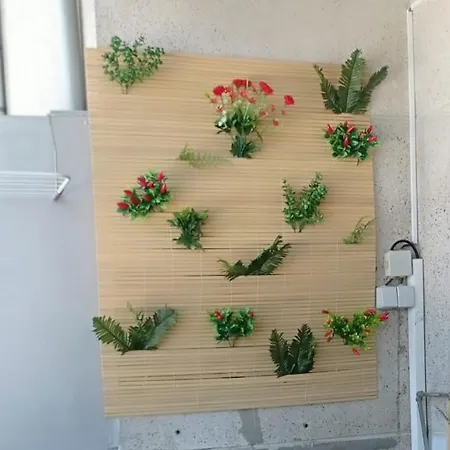 Liber Auberge de jeunesse Braga